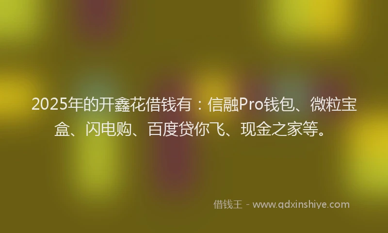 2025年的开鑫花借钱有：信融Pro钱包、微粒宝盒、闪电购、百度贷你飞、现金之家等。