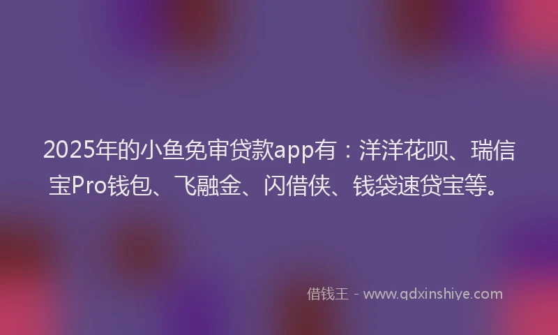 2025年的小鱼免审贷款app有：洋洋花呗、瑞信宝Pro钱包、飞融金、闪借侠、钱袋速贷宝等。