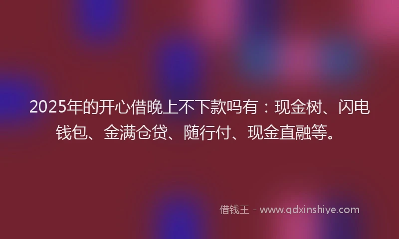 2025年的开心借晚上不下款吗有：现金树、闪电钱包、金满仓贷、随行付、现金直融等。