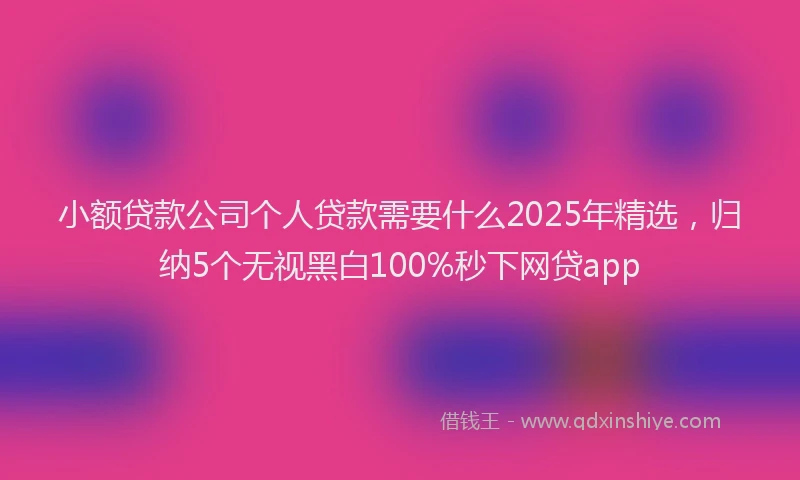 小额贷款公司个人贷款需要什么2025年精选，归纳5个无视黑白100%秒下网贷app