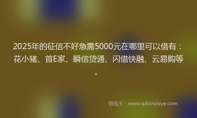 2025年的征信不好急需5000元在哪里可以借有：花小猪、首E家、瞬信贷通、闪借快融、云易购等。