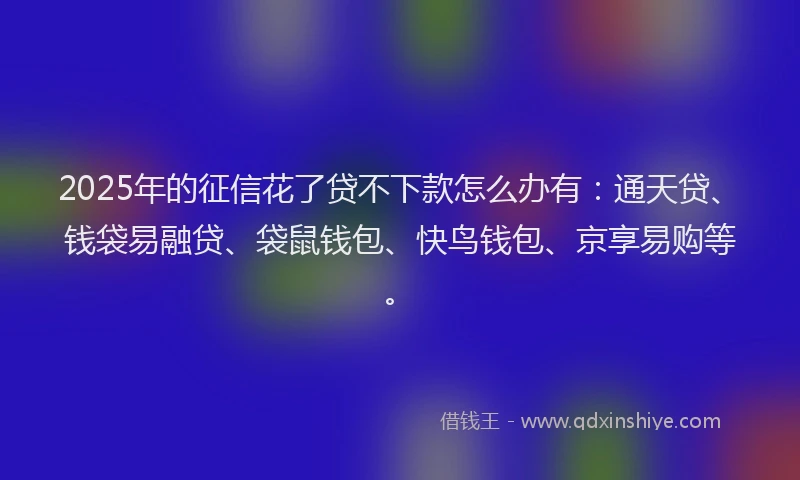 2025年的征信花了贷不下款怎么办有：通天贷、钱袋易融贷、袋鼠钱包、快鸟钱包、京享易购等。