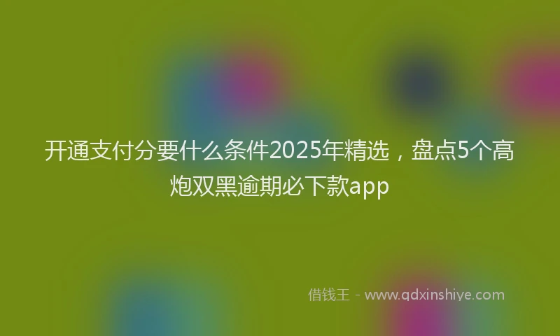 开通支付分要什么条件2025年精选，盘点5个高炮双黑逾期必下款app
