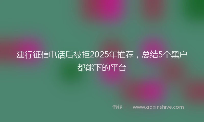 建行征信电话后被拒2025年推荐，总结5个黑户都能下的平台