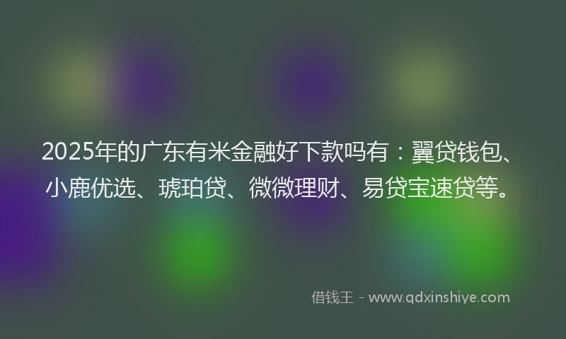 2025年的广东有米金融好下款吗有：翼贷钱包、小鹿优选、琥珀贷、微微理财、易贷宝速贷等。
