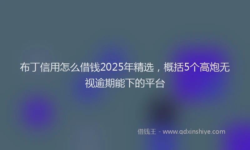 布丁信用怎么借钱2025年精选，概括5个高炮无视逾期能下的平台