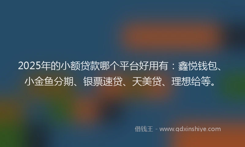 2025年的小额贷款哪个平台好用有：鑫悦钱包、小金鱼分期、银票速贷、天美贷、理想给等。