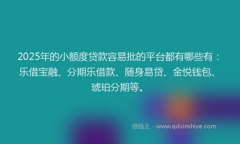 2025年的小额度贷款容易批的平台都有哪些有：乐借宝融、分期乐借款、随身易贷、金悦钱包、琥珀分期等。