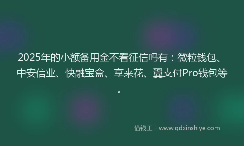 2025年的小额备用金不看征信吗有：微粒钱包、中安信业、快融宝盒、享来花、翼支付Pro钱包等。