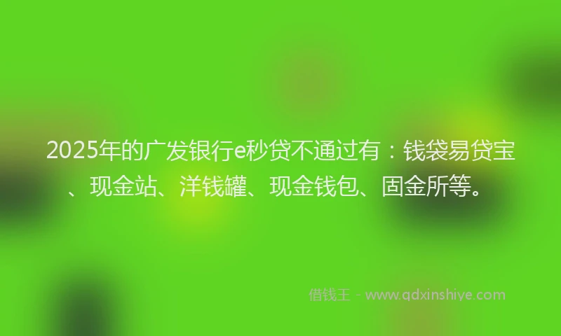 2025年的广发银行e秒贷不通过有：钱袋易贷宝、现金站、洋钱罐、现金钱包、固金所等。