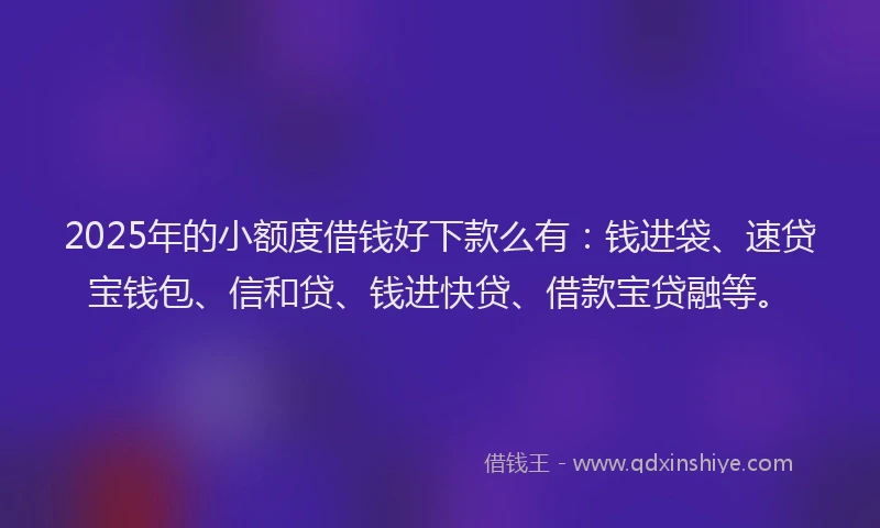 2025年的小额度借钱好下款么有：钱进袋、速贷宝钱包、信和贷、钱进快贷、借款宝贷融等。