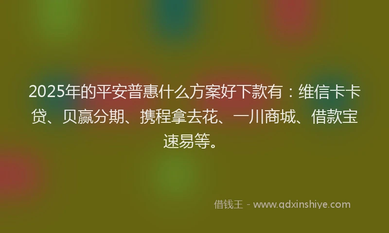 2025年的平安普惠什么方案好下款有：维信卡卡贷、贝赢分期、携程拿去花、一川商城、借款宝速易等。