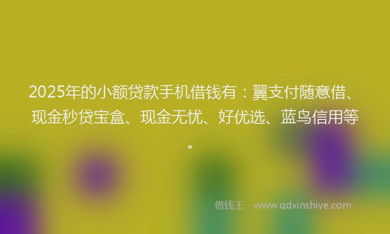 2025年的小额贷款手机借钱有：翼支付随意借、现金秒贷宝盒、现金无忧、好优选、蓝鸟信用等。