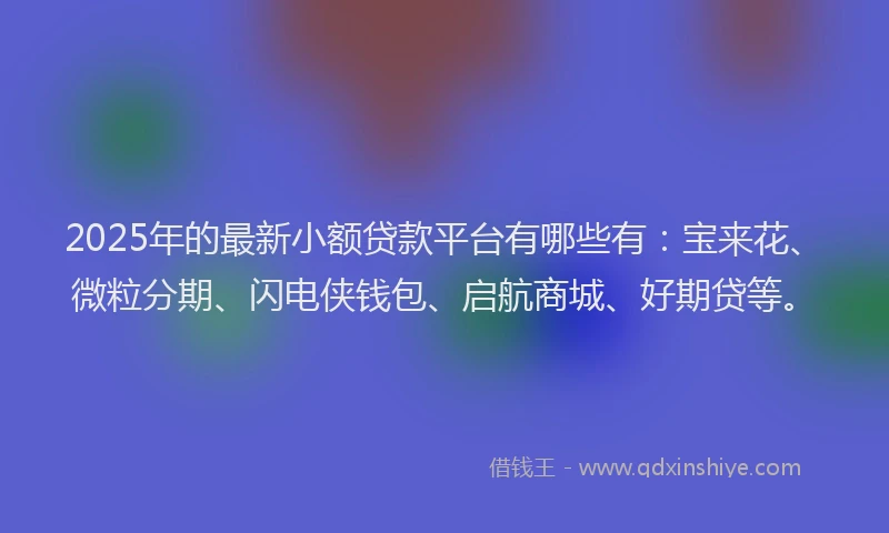 2025年的最新小额贷款平台有哪些有：宝来花、微粒分期、闪电侠钱包、启航商城、好期贷等。