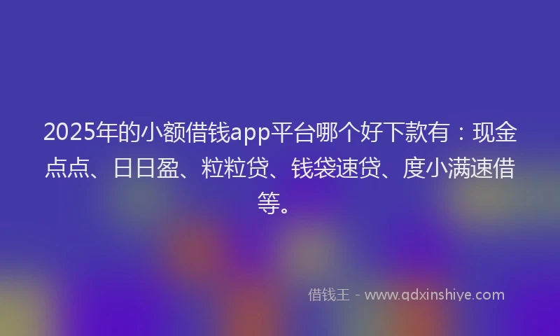 2025年的小额借钱app平台哪个好下款有：现金点点、日日盈、粒粒贷、钱袋速贷、度小满速借等。