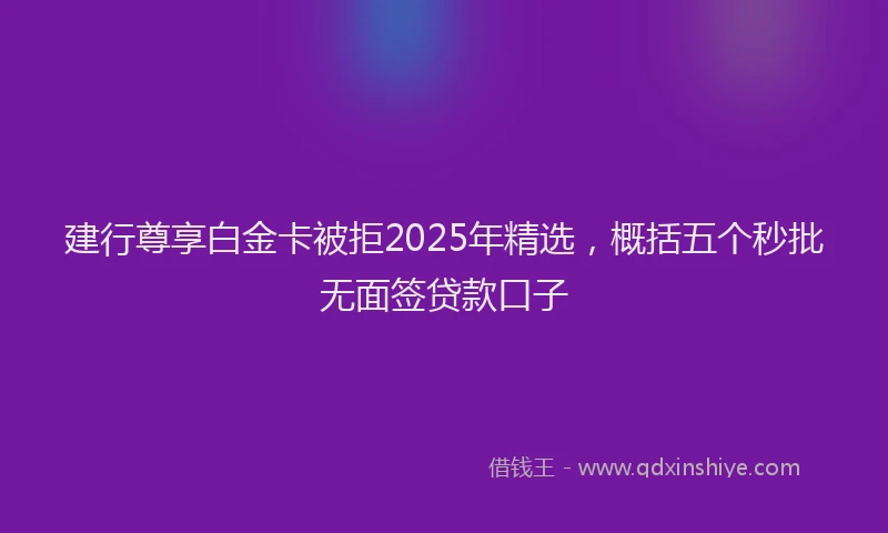 建行尊享白金卡被拒2025年精选，概括五个秒批无面签贷款口子