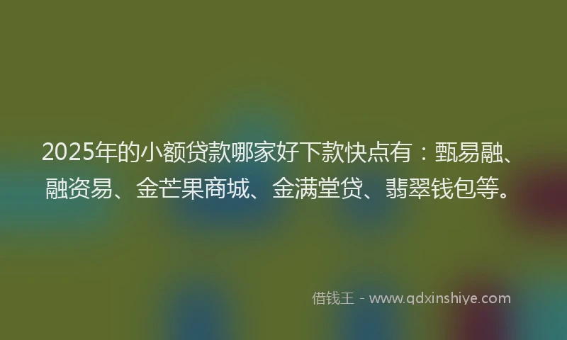 2025年的小额贷款哪家好下款快点有：甄易融、融资易、金芒果商城、金满堂贷、翡翠钱包等。