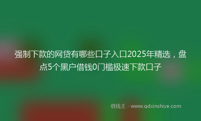 强制下款的网贷有哪些口子入口2025年精选，盘点5个黑户借钱0门槛极速下款口子