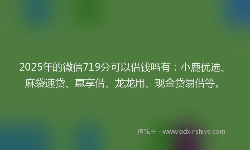 2025年的微信719分可以借钱吗有：小鹿优选、麻袋速贷、惠享借、龙龙用、现金贷易借等。
