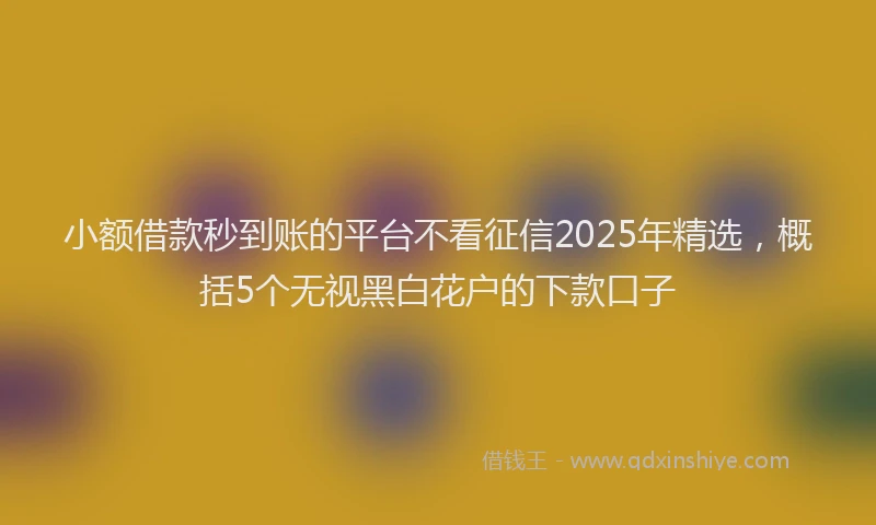 小额借款秒到账的平台不看征信2025年精选，概括5个无视黑白花户的下款口子