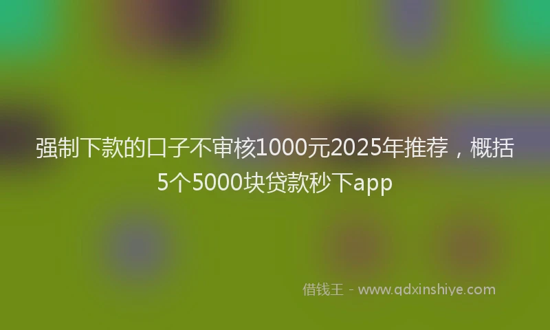 强制下款的口子不审核1000元2025年推荐，概括5个5000块贷款秒下app