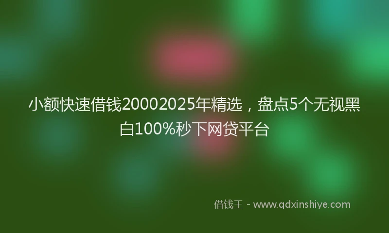 小额快速借钱20002025年精选，盘点5个无视黑白100%秒下网贷平台