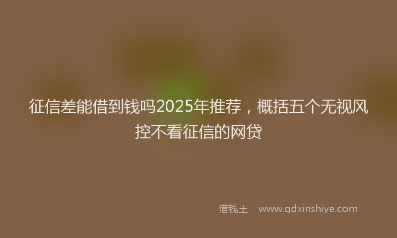 征信差能借到钱吗2025年推荐，概括五个无视风控不看征信的网贷
