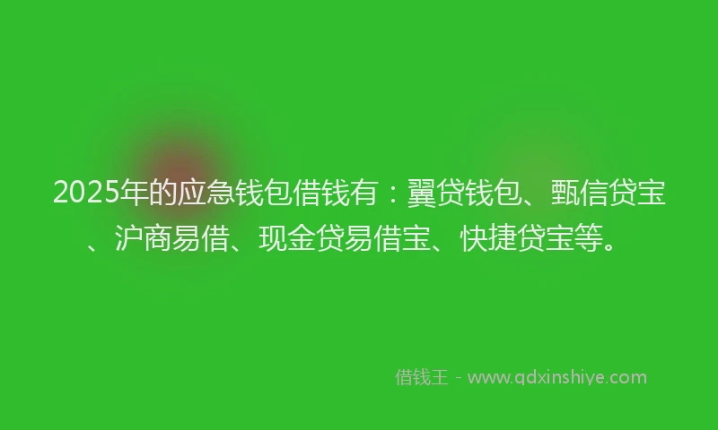 2025年的应急钱包借钱有：翼贷钱包、甄信贷宝、沪商易借、现金贷易借宝、快捷贷宝等。