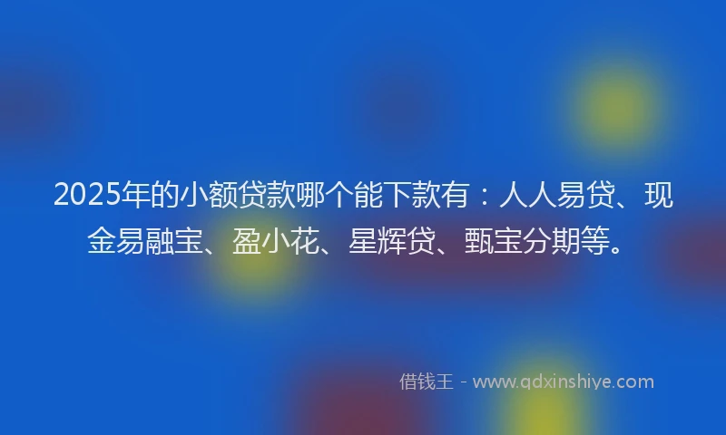 2025年的小额贷款哪个能下款有：人人易贷、现金易融宝、盈小花、星辉贷、甄宝分期等。
