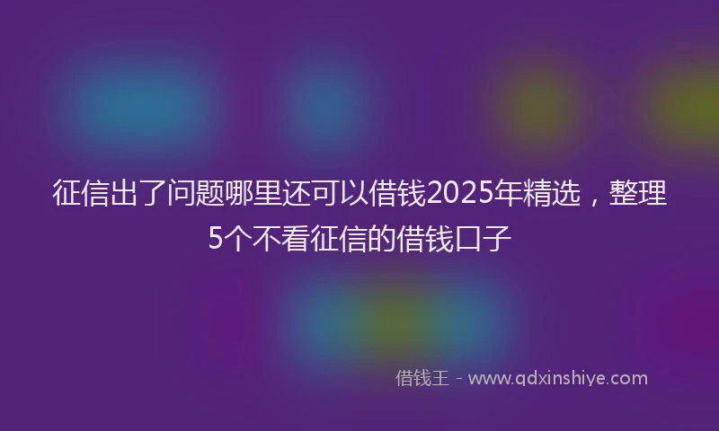 征信出了问题哪里还可以借钱2025年精选，整理5个不看征信的借钱口子