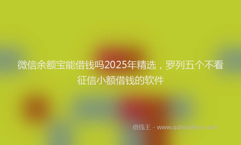 微信余额宝能借钱吗2025年精选，罗列五个不看征信小额借钱的软件