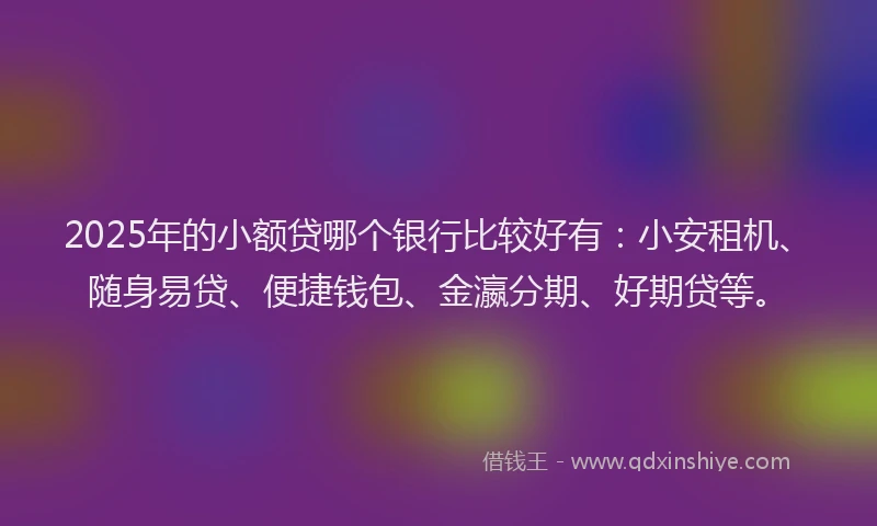2025年的小额贷哪个银行比较好有：小安租机、随身易贷、便捷钱包、金瀛分期、好期贷等。