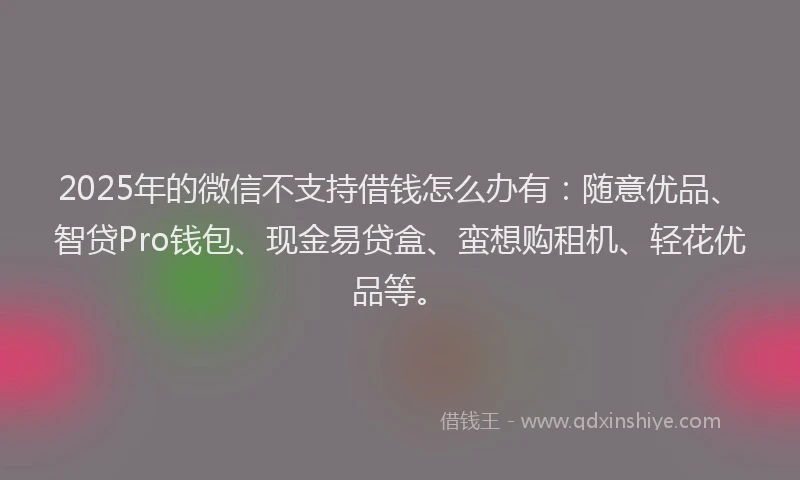 2025年的微信不支持借钱怎么办有：随意优品、智贷Pro钱包、现金易贷盒、蛮想购租机、轻花优品等。