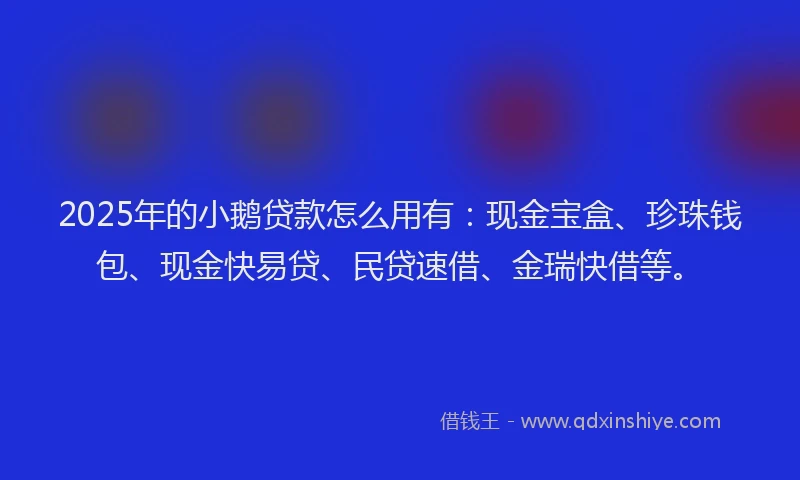 2025年的小鹅贷款怎么用有：现金宝盒、珍珠钱包、现金快易贷、民贷速借、金瑞快借等。