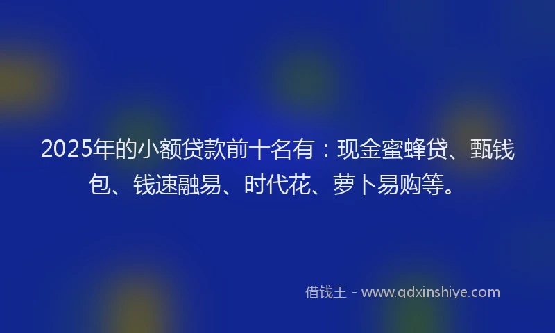 2025年的小额贷款前十名有：现金蜜蜂贷、甄钱包、钱速融易、时代花、萝卜易购等。