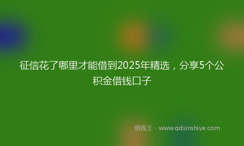 征信花了哪里才能借到2025年精选，分享5个公积金借钱口子
