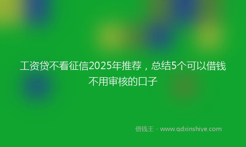 工资贷不看征信2025年推荐，总结5个可以借钱不用审核的口子