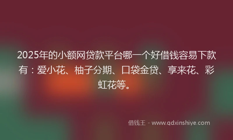 2025年的小额网贷款平台哪一个好借钱容易下款有：爱小花、柚子分期、口袋金贷、享来花、彩虹花等。