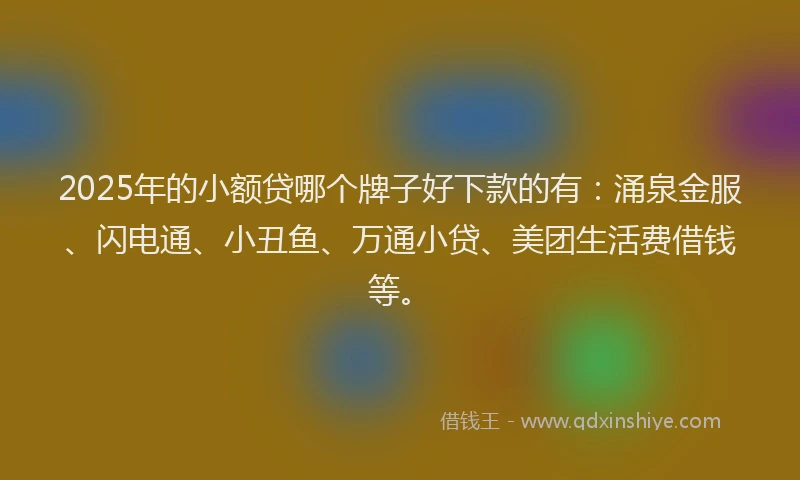 2025年的小额贷哪个牌子好下款的有：涌泉金服、闪电通、小丑鱼、万通小贷、美团生活费借钱等。