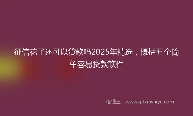 征信花了还可以贷款吗2025年精选，概括五个简单容易贷款软件