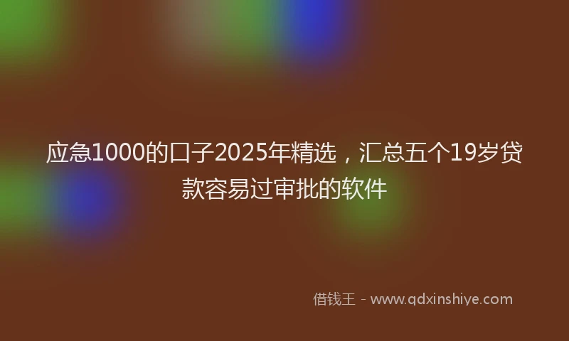 应急1000的口子2025年精选，汇总五个19岁贷款容易过审批的软件