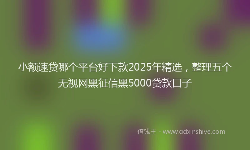 小额速贷哪个平台好下款2025年精选，整理五个无视网黑征信黑5000贷款口子