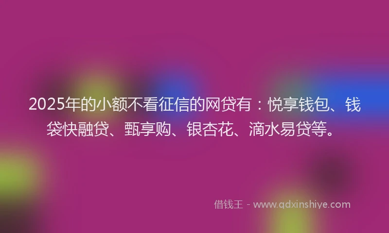 2025年的小额不看征信的网贷有：悦享钱包、钱袋快融贷、甄享购、银杏花、滴水易贷等。