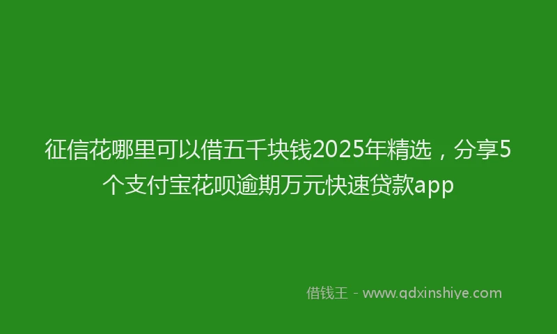 征信花哪里可以借五千块钱2025年精选，分享5个支付宝花呗逾期万元快速贷款app