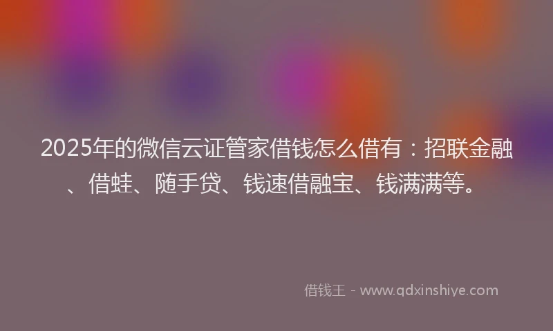 2025年的微信云证管家借钱怎么借有：招联金融、借蛙、随手贷、钱速借融宝、钱满满等。