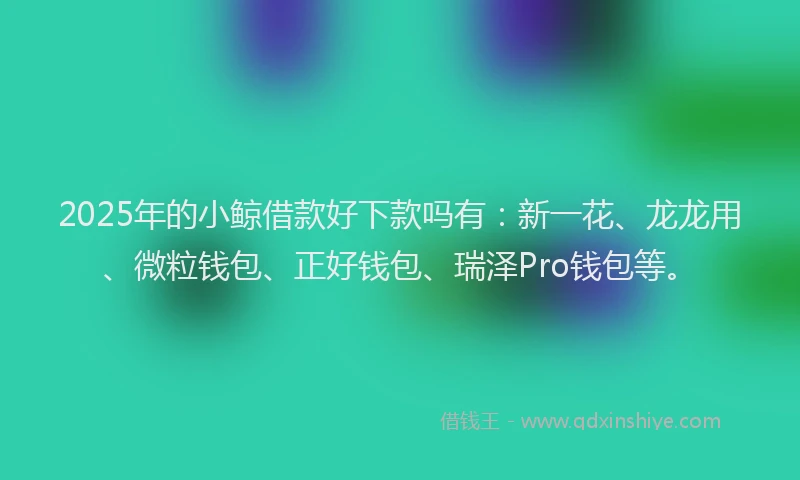 2025年的小鲸借款好下款吗有：新一花、龙龙用、微粒钱包、正好钱包、瑞泽Pro钱包等。
