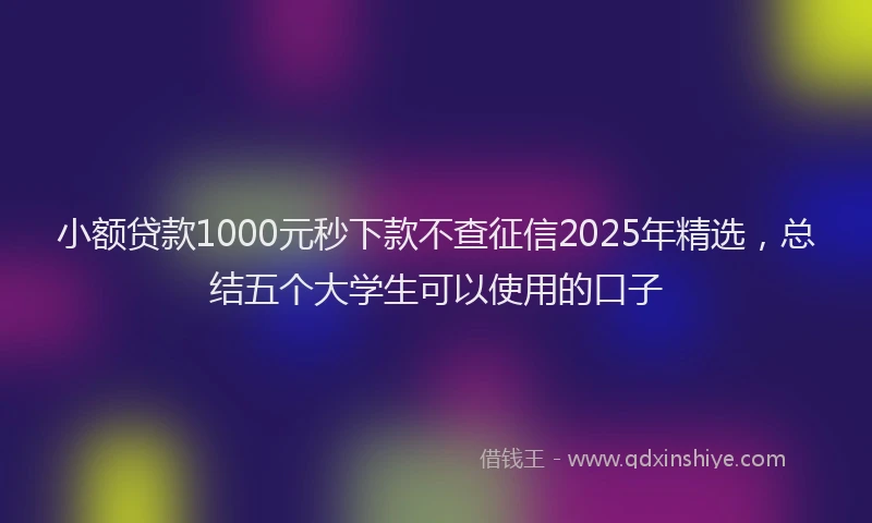 小额贷款1000元秒下款不查征信2025年精选，总结五个大学生可以使用的口子
