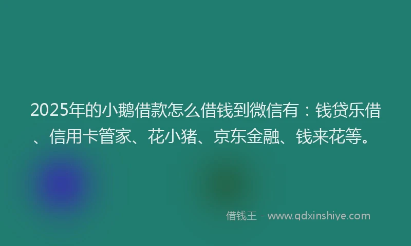 2025年的小鹅借款怎么借钱到微信有：钱贷乐借、信用卡管家、花小猪、京东金融、钱来花等。