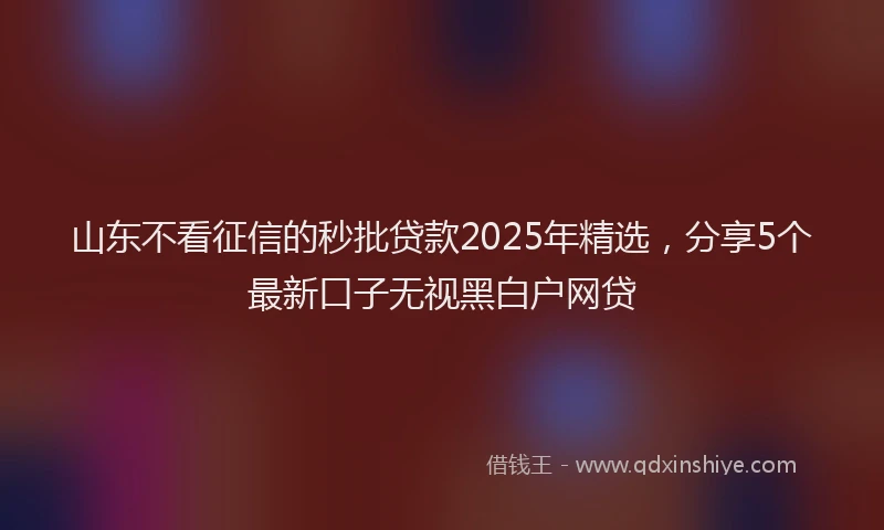 山东不看征信的秒批贷款2025年精选，分享5个最新口子无视黑白户网贷