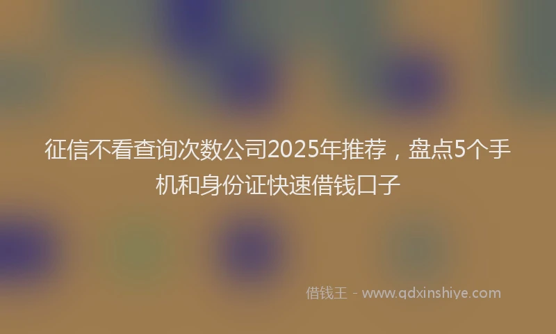 征信不看查询次数公司2025年推荐，盘点5个手机和身份证快速借钱口子